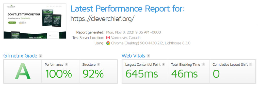 Clever chief performance report